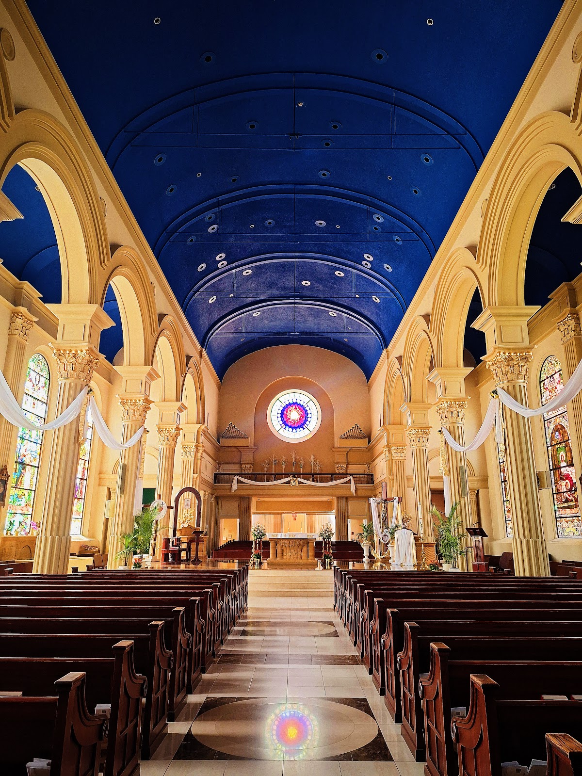 The Cathedral of the Immaculate Conception