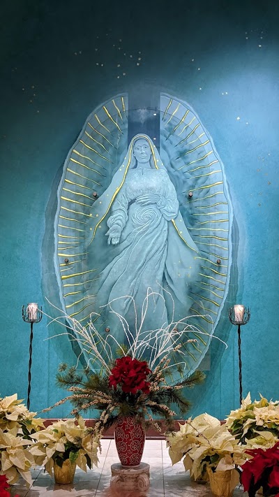 The Cathedral of the Immaculate Conception photo 4