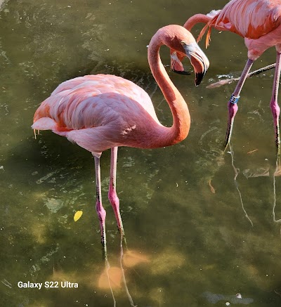 Gatorland photo 4