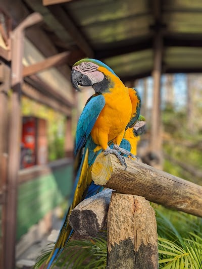 Gatorland photo 5