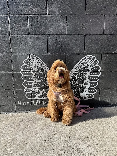 Nashville WhatLiftsYou Wings Mural photo 5
