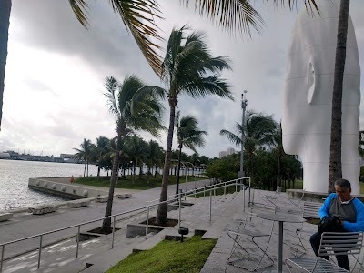 Pérez Art Museum Miami photo 3