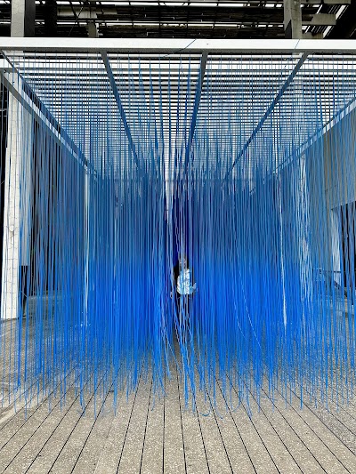 Pérez Art Museum Miami photo 4