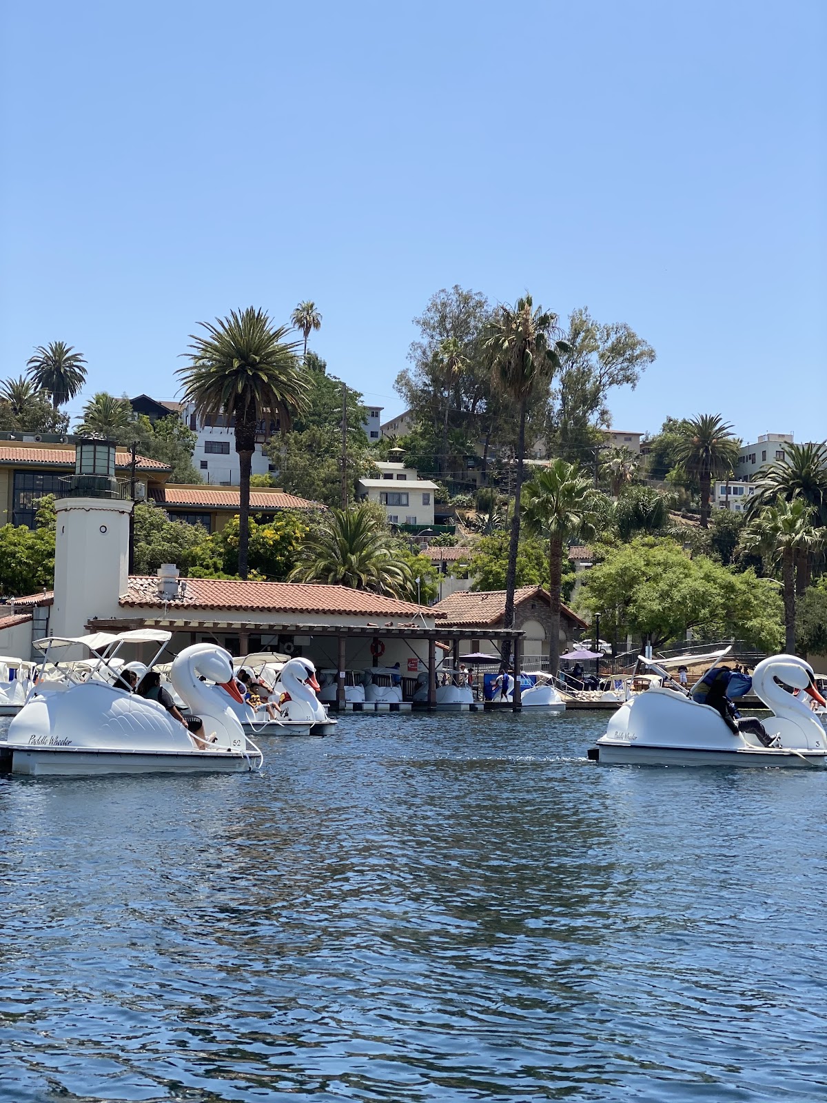 Echo Park Swan Boats by Wheel Fun Rentals