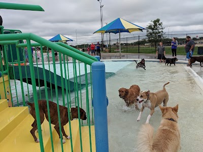 Springs Aquatic Center photo 4