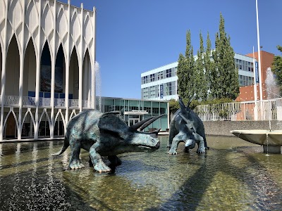 Pacific Science Center photo 3