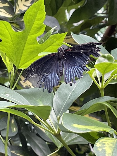 Pacific Science Center photo 5