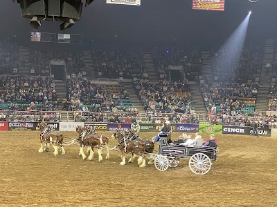 National Western Stock Show photo 4