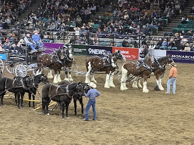 National Western Stock Show photo 2