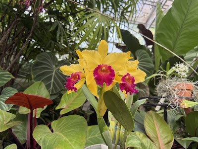 Foster Botanical Garden photo 5
