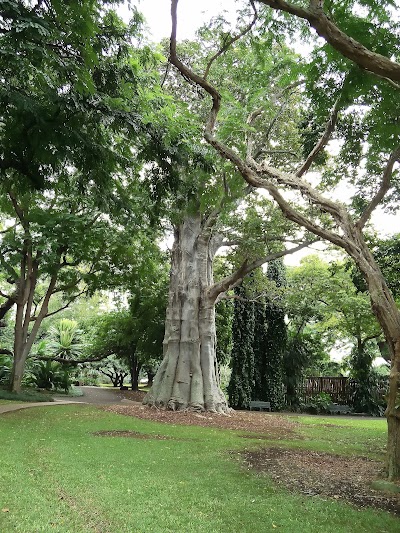 Foster Botanical Garden photo 3
