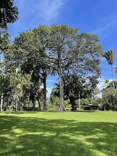 Foster Botanical Garden photo 2