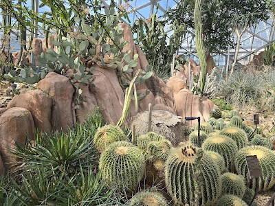 Mitchell Park Domes Horticulture Conservatory photo 5
