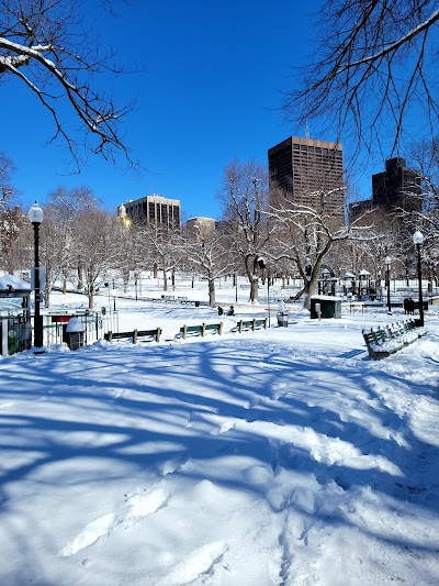 Boston Common Frog Pond photo 4