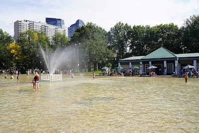 Boston Common Frog Pond photo 5