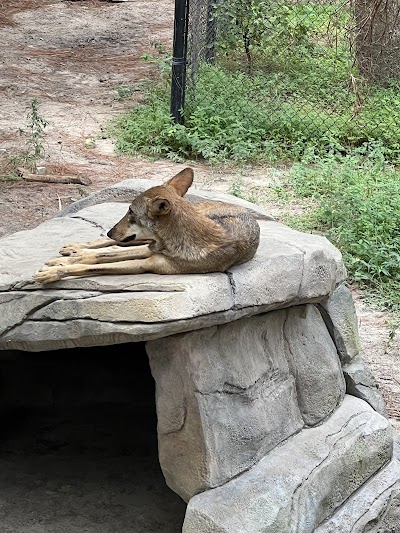 ZooTampa at Lowry Park photo 5