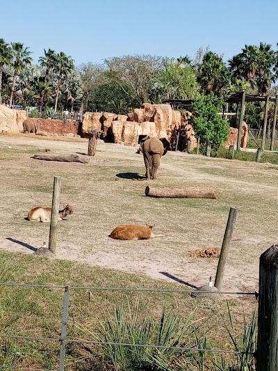 ZooTampa at Lowry Park photo 2