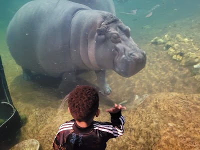 Adventure Aquarium photo 5