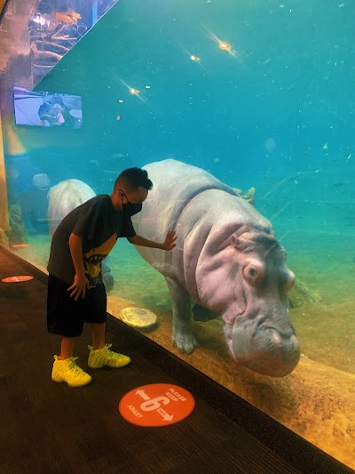 Adventure Aquarium photo 2