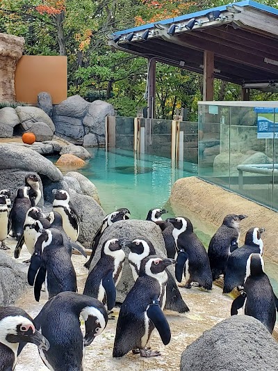 Adventure Aquarium photo 4