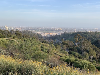 Elysian Park Trail photo 2