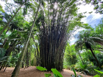 Harry P Leu Gardens photo 2