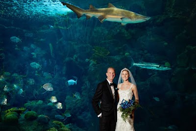 The Florida Aquarium photo 3