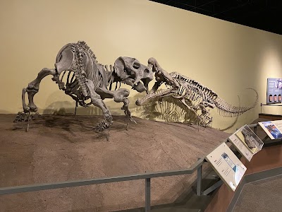 New Mexico Museum of Natural History and Science photo 5