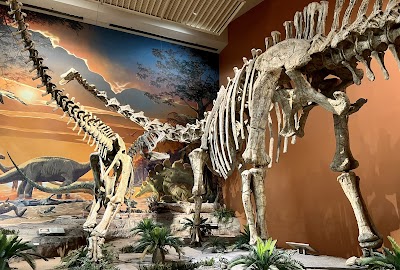 New Mexico Museum of Natural History and Science photo 3
