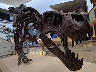 New Mexico Museum of Natural History and Science photo 4