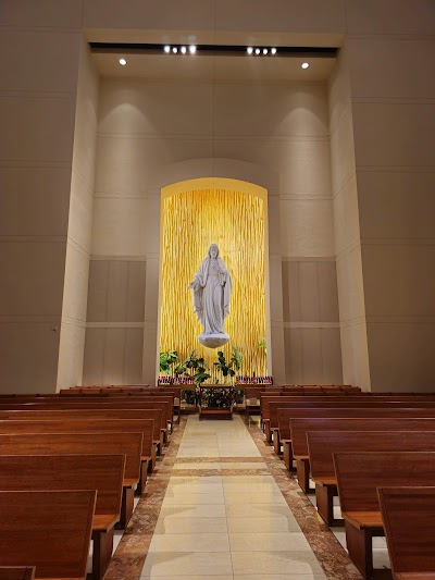 Co-Cathedral of the Sacred Heart photo 5
