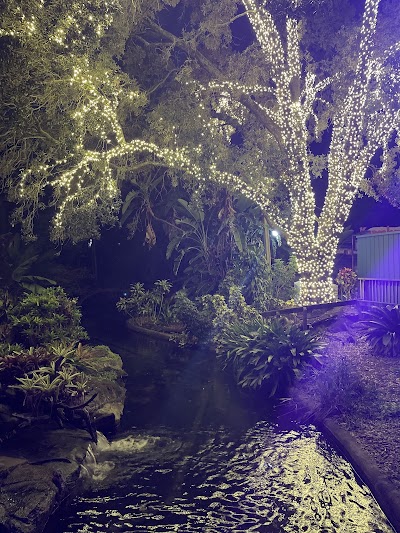 Busch Gardens Tampa Bay Howl-O-Scream photo 3