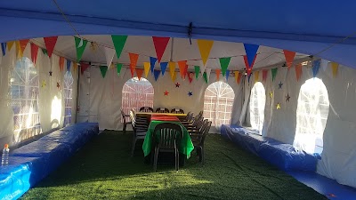 ABC Tree Farms Summer Fun Zone, Pumpkin Patch & Christmas Trees photo 3
