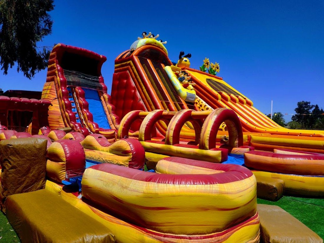 ABC Tree Farms Summer Fun Zone, Pumpkin Patch & Christmas Trees