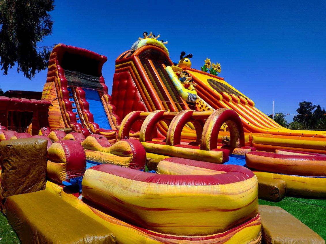 ABC Tree Farms Summer Fun Zone, Pumpkin Patch & Christmas Trees