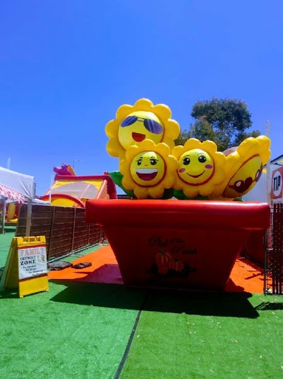 ABC Tree Farms Summer Fun Zone, Pumpkin Patch & Christmas Trees photo 4