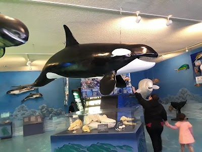 Las Vegas Science & Natural History Museum photo 3