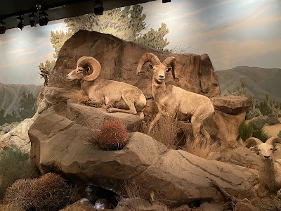 Las Vegas Science & Natural History Museum photo 4