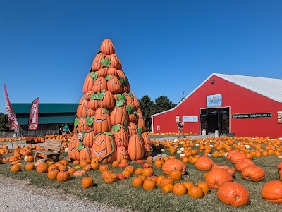 Honeysuckle Hill Farm photo 4