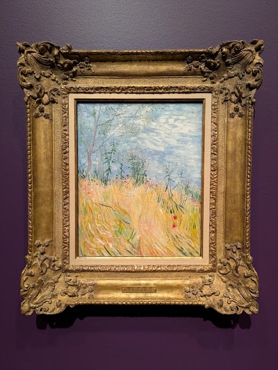 Denver Art Museum photo 2