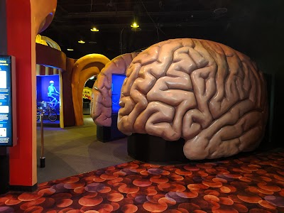 The Health Museum photo 3