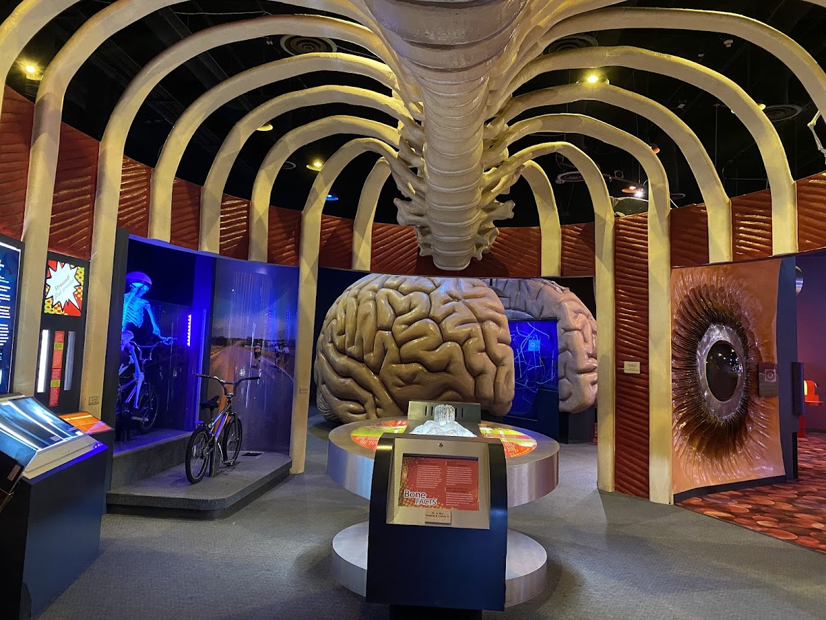 The Health Museum