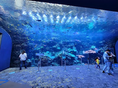 Georgia Aquarium photo 2