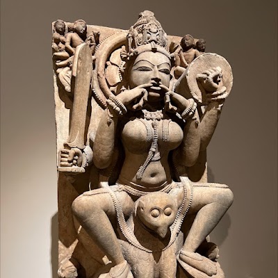 San Antonio Museum of Art photo 5