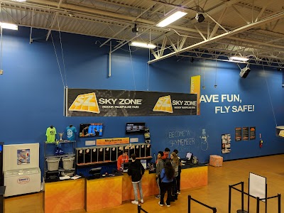 Airborne Adventure Park - Taylor, MI photo 3