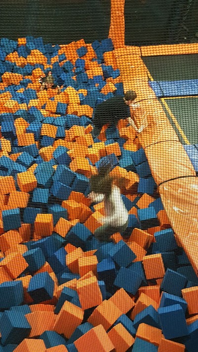 Airborne Adventure Park - Taylor, MI photo 5