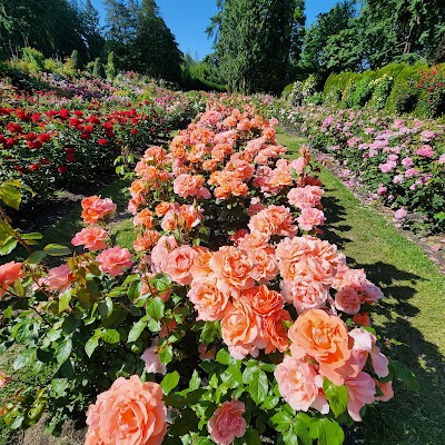 Washington Park photo 5
