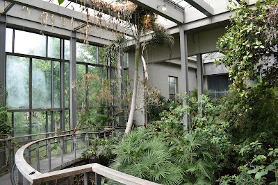 Texas Discovery Gardens at Fair Park photo 3