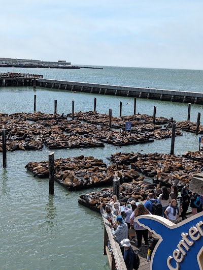 PIER 39 photo 5