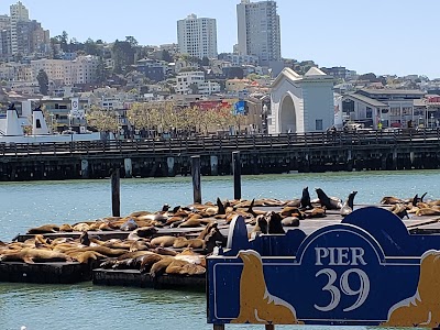 PIER 39 photo 3